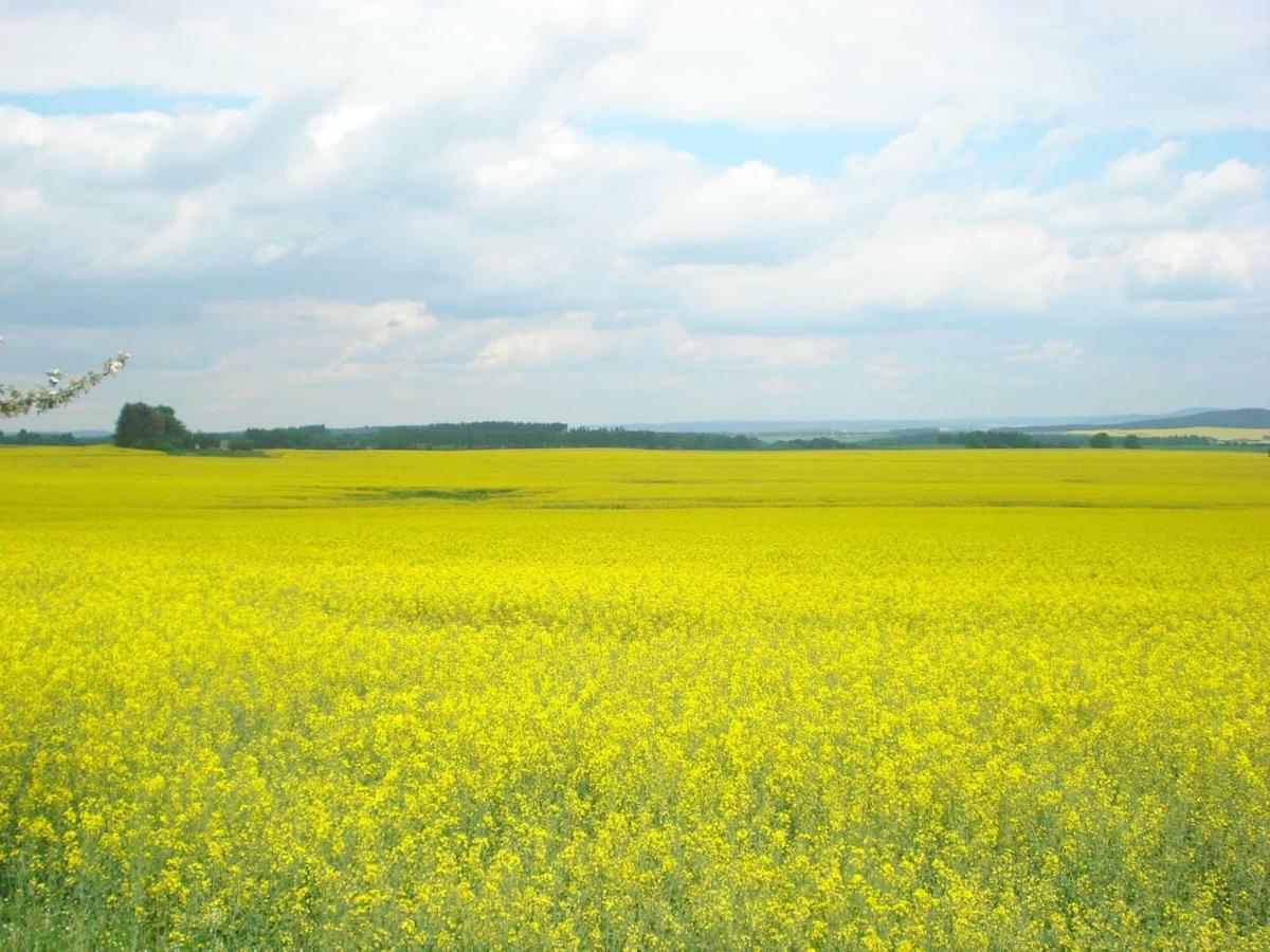 Obora 827 Nová Bystřice